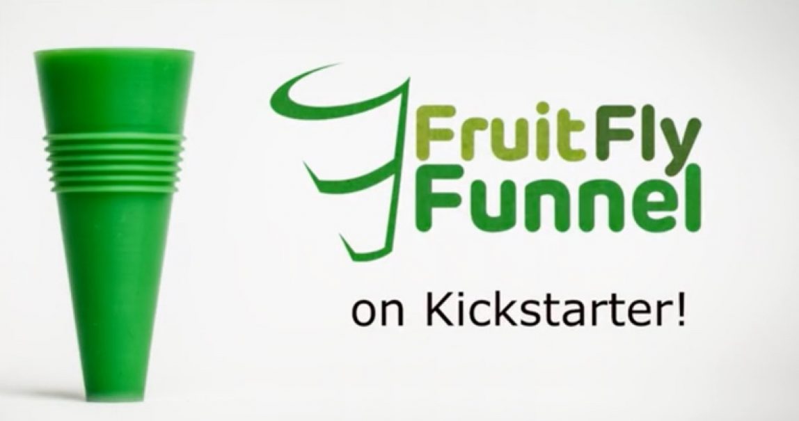 Trap Fruit Flies for Good with This Handy Tool