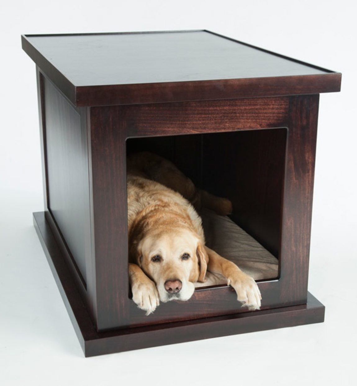 Ease Your Dog's Worries with This Smart Animal Crate - Electrified Dog Crate With Thermoregulation