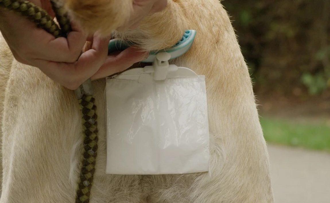 Never Touch Your Dog's Poop Again with This Poop Scoop!