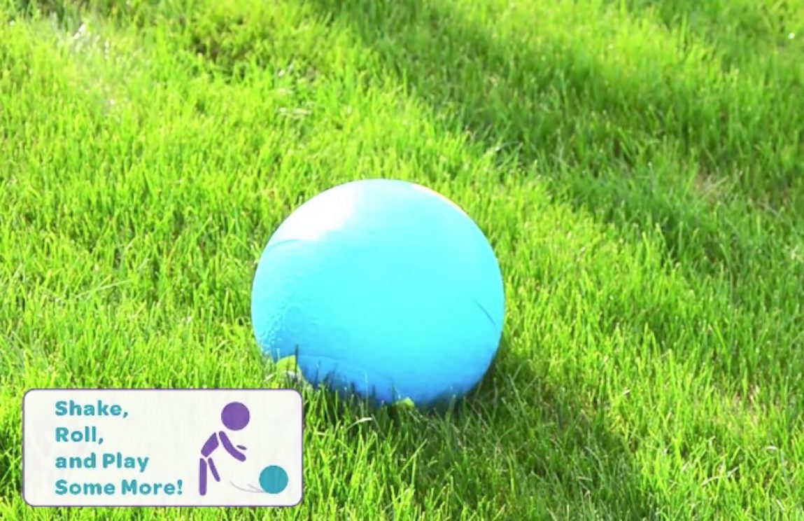 The Yaylabs SoftShell Ice Cream Ball Makes a Pint/Quart of Homemade