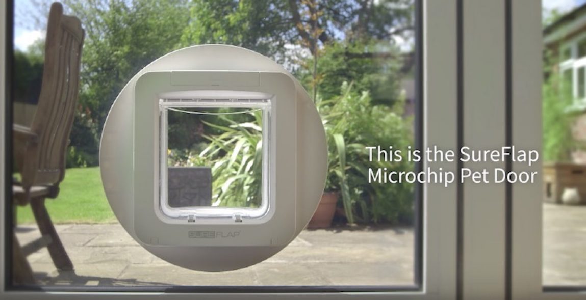 The SureFlap Microchip Pet Door Lets You Control Which Pets Go in and