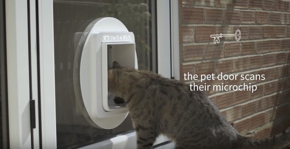 The SureFlap Microchip Pet Door Lets You Control Which Pets Go in and