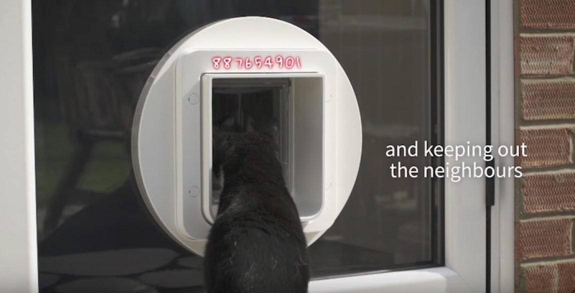 The SureFlap Microchip Pet Door Lets You Control Which Pets Go in and