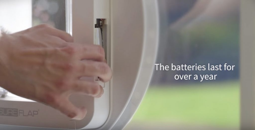 The SureFlap Microchip Pet Door Lets You Control Which Pets Go in and