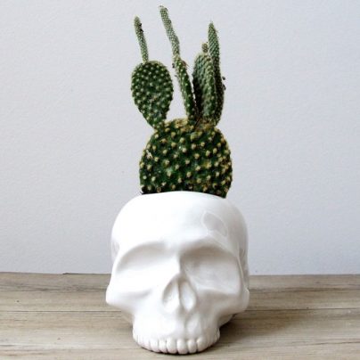 Ceramic Skull Planters Are Bad To The Bone