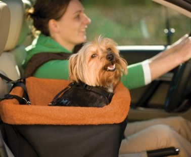 A Cozy And Safe Booster Seat That Allows Your Dog To See Out The Windows