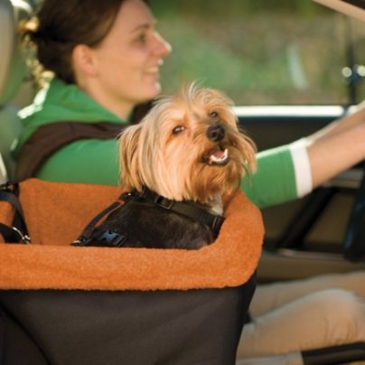 A Cozy And Safe Booster Seat That Allows Your Dog To See Out The Windows