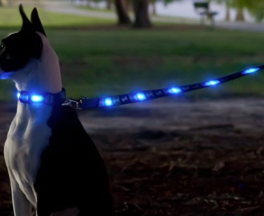 Dog-E-Glow – An LED Leash To Keep Your Dog Safe And Visible At Night