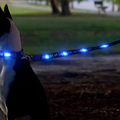 Dog-E-Glow – An LED Leash To Keep Your Dog Safe And Visible At Night