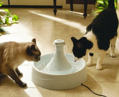 Drinkwell 360 Pet Fountain