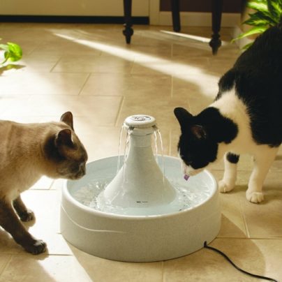 Drinkwell 360 Pet Fountain