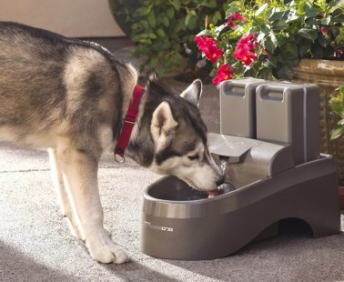 Drinkwell Indoor Outdoor Dog Fountain