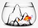 Fishscape: A Slick-Looking Fish Bowl