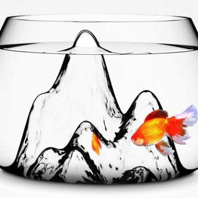 Fishscape: A Slick-Looking Fish Bowl