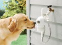 WaterDog Detects Your Dog And Dispenses Fresh Water Automatically