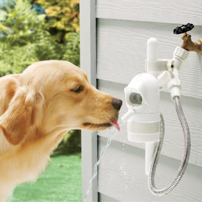 WaterDog Detects Your Dog And Dispenses Fresh Water Automatically