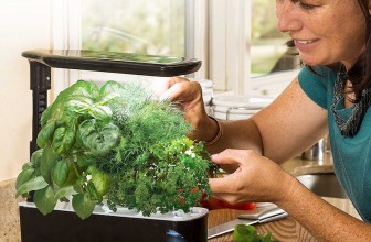 The Miracle-Gro AeroGarden Lets You Garden Year-Round Without the Use of Soil