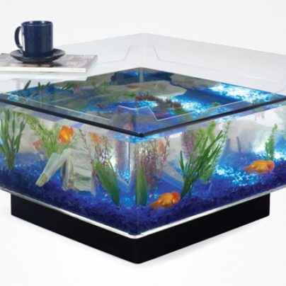 The Aquarium Coffee Table