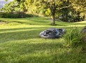 Automatically Mow Your Lawn With The Husqvarna Robotic Lawn Mower: Automower