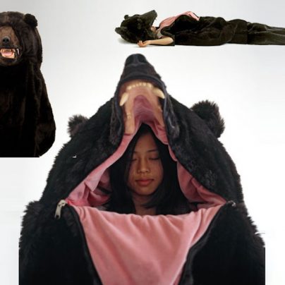 Humans can Hibernate with the Bears in this Creative Sleeping Bag