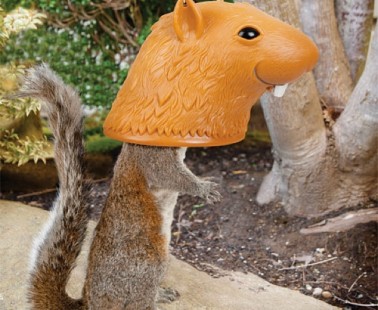 Big Head Squirrel Feeder