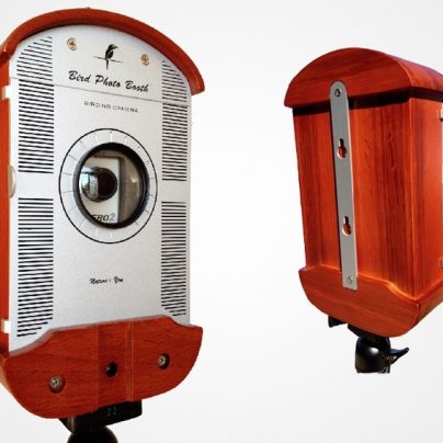 Bird Photo Booth – The Closest You Can Get To Birds