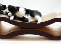 The Cat Scratcher Lounge