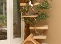 Mature Cat Tree House