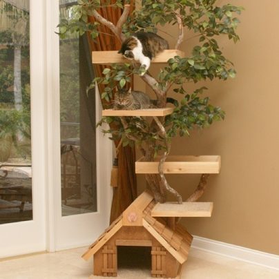 Mature Cat Tree House