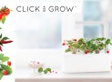 Smart Plant-Growing System Lets You Grow Plants with No Maintenance