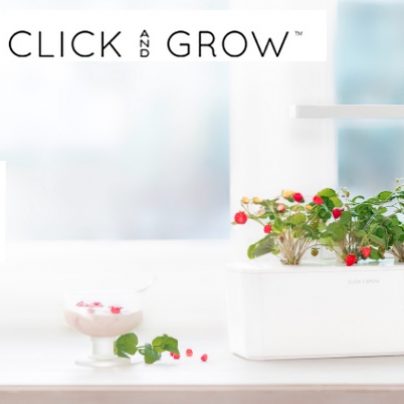 Smart Plant-Growing System Lets You Grow Plants with No Maintenance