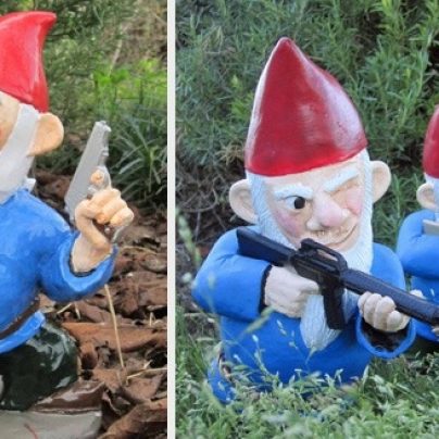 Combat Garden Gnomes