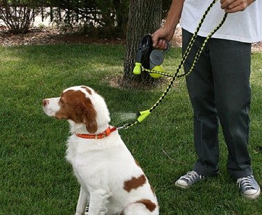 Cool Down Doggie – The Refreshing Misting Leash