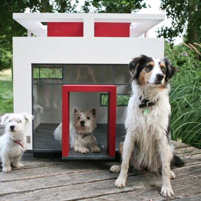 A Dog Mansion