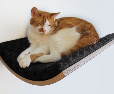 Curve – A Modern Wall-Mounted Pet Bed by Akemi Tanaka