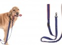 Let Your Dog Walk You with the Best Leash Ever