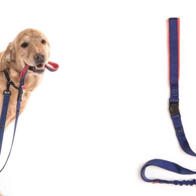 Let Your Dog Walk You with the Best Leash Ever