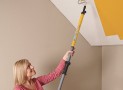 The HomeRight Paint Stick Makes House Painting Quick and Easy