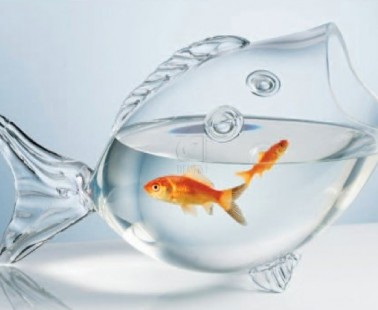 Glass Fish Bowl