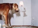 A Lamp That Playfully Defies The Laws Of Gravity
