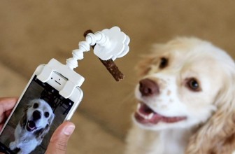 The Flexy Paw Treat Holder Makes It Easier for You to Take Selfies & Portraits of Your Dogs and Cats