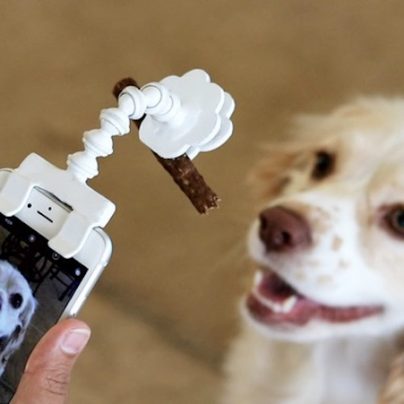 The Flexy Paw Treat Holder Makes It Easier for You to Take Selfies & Portraits of Your Dogs and Cats