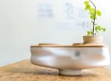 Reduce Your Household Waste with This Mini Ecosystem