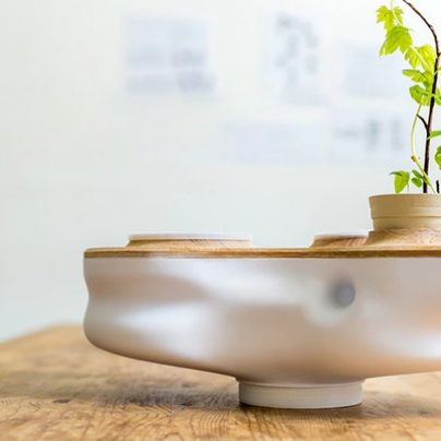 Reduce Your Household Waste with This Mini Ecosystem