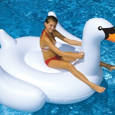 Giant Inflatable Swan
