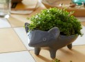 Ceramic Hedgehog Planter