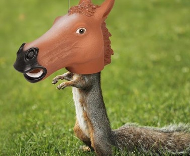 Horse Head Squirrel Feeder