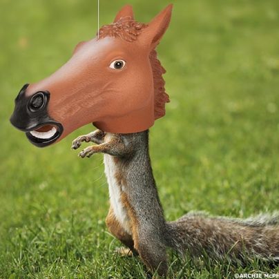 Horse Head Squirrel Feeder