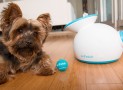 iFetch – The Automatic Ball Launcher For Dogs, For When You’re Feeling Lazy