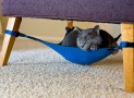 Cat Crib – The Cat Hammock